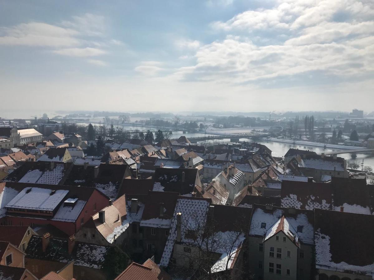 Apartments Terme Птуй Экстерьер фото